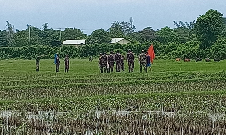 আখাউড়ায় সীমান্তে বাংলাদেশী ১৫ গরু নিয়ে গেলো বিএসএফ, পতাকা বৈঠকে ফিরত