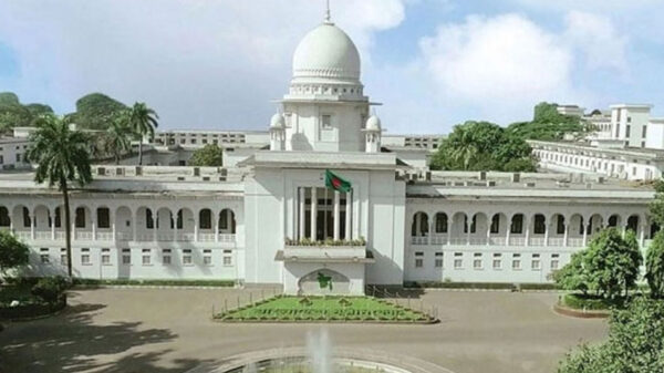 সোহাগ হত্যার তদন্তে বিচারিক কমিশন গঠনের নির্দেশনা চেয়ে রিট