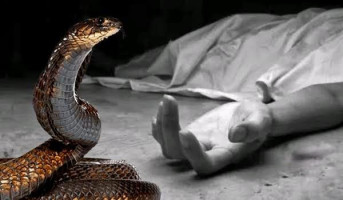 সখীপুরে সাপের কামড়ে এক বৃদ্ধার মৃত্যু