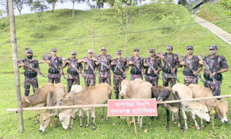 সুনামগঞ্জ সীমান্তে ৯ ভারতীয় গরু জব্দ