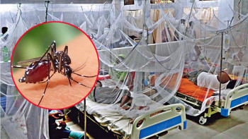 ডেঙ্গু আক্রান্ত হয়ে হাসপাতালে আরও শতাধিক রোগী