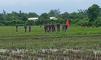 আখাউড়ায় সীমান্তে বাংলাদেশী ১৫ গরু নিয়ে গেলো বিএসএফ, পতাকা বৈঠকে ফিরত