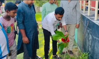 ছাত্রদলের উদ্যোগে সারাদেশে বৃক্ষরোপণ কর্মসূচি