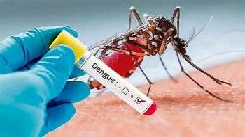 ডেঙ্গুতে ২ বছর বয়সী শিশুর মৃত্যু, হাসপাতালে ২৬২